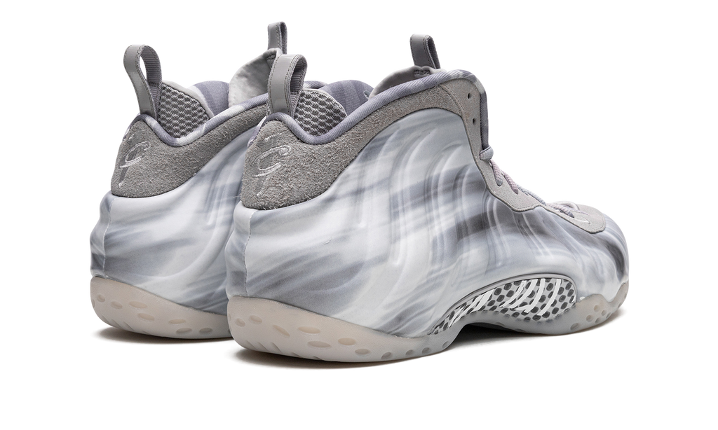 Air Foamposite One "Dream a World - Grey" DM0115 001