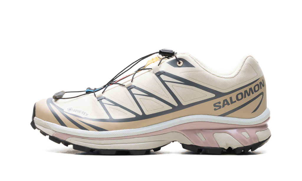XT-6 GTX Almond Milk Mauve - Waterproof Trail Sneakers with GORE-TEX